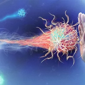 Imagem de capa para o Curso online LIMPEZA ENERGÉTICA 