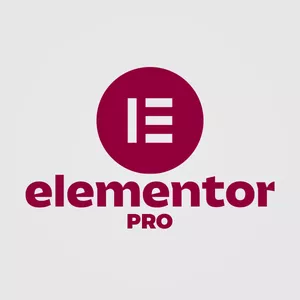 Imagem de capa para o Curso online Elementor Pro Válido Por 7 Anos 
