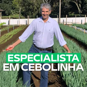 Imagem de capa para o Curso online ESPECIALISTA EM CEBOLINHA