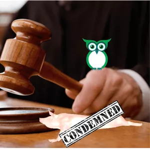 Imagem de capa para o Curso online Entendendo os critérios de julgamento e destino em abatedouros