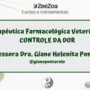 Imagem de capa para o Curso online Controle da Dor em animais