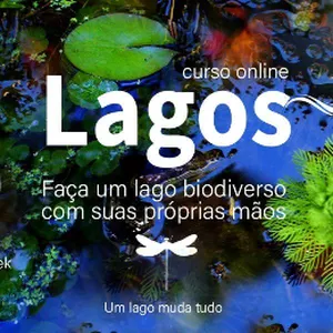 Capa do curso 