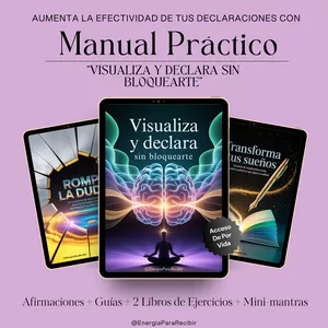 Imagen de portada para Ebook VISUALIZA Y DECLARA SIN BLOQUEARTE