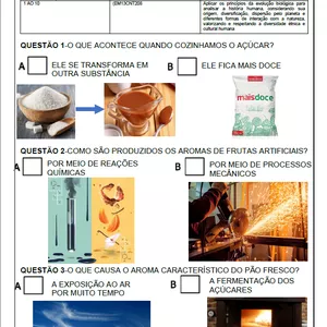 Imagem de capa para o Ebook Atividade Adaptada de Química- Transformações Químicas