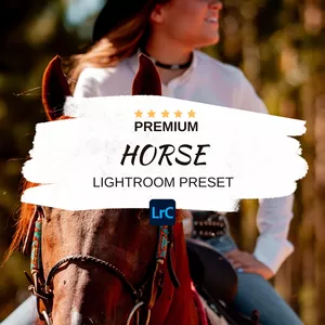 Imagem de capa para o Curso online HORSE PRESETS