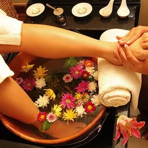 Imagem de capa para o Ebook Protocolos Day SPA