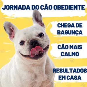 Imagem de capa para o Ebook Jornada do Cão Obediente – Para Tutores que Querem Resultados Reais