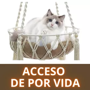Imagen de portada para Curso online ACCESO VITALICIO: Asegura acceso vitalicio al curso Ganando dinero con Artesanía Felina