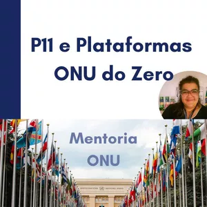 Curso Mentoria ONU: Preenchimento de P11 com Estratégia