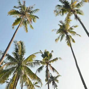 Imagen de portada para Curso online Encuentra lo que buscas en nuestra amplia selección