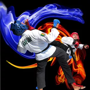 Imagen de portada para Curso online PROGRAMA DE ASCENSO DE CINTURON EN HAPKIDO