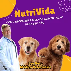Imagem do curso NutriVida - como escolher a melhor alimentação para seu cão