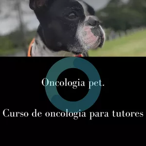 Imagem de capa para o Curso online Cuidando do seu Pet com Câncer. Ajude quem você mais ama!