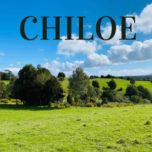 Imagen de portada para Curso online TERRENO EN CHILOE