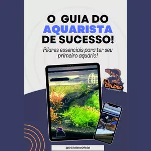 Imagem de capa para o Ebook O Guia do Aquarista de Sucesso: Pilares Básicos
