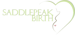 Saddlepeak Birth University logo
