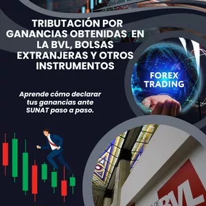 Imagen de portada para Curso online Tributación para inversores en el Perú y el extranjero (Bolsa de valores y otros instrumentos de inversión)