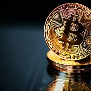 Imagem de capa para o Serviço online Mk investimentos