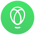us-gemini-en-usa logo