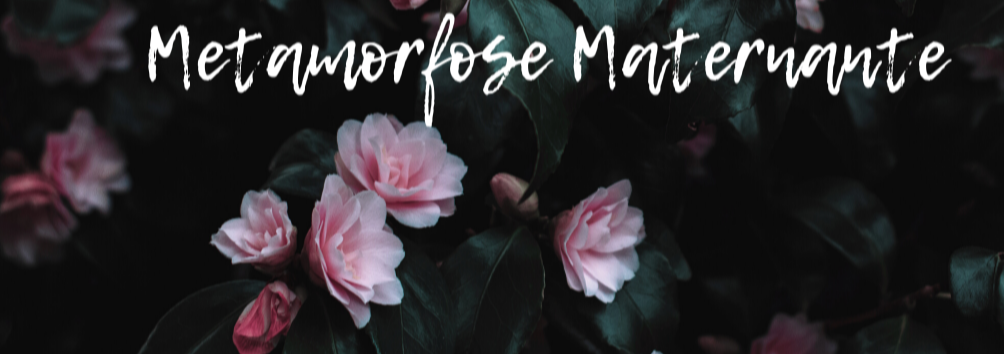 Ebook Metamorfose Maternante