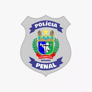 Imagem de capa para o Curso online Polícia Penal de Roraima
