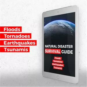 Cover image for Ebook Natural Disaster Survival Guide