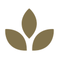 Latter Day Struggles Courses logo