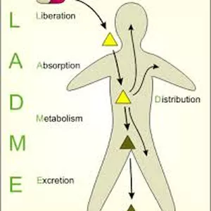 Imagen de portada para Ebook FASE BIOFARMACÉUTICA: Guía Visual y Resumen Universitario del Modelo LADME