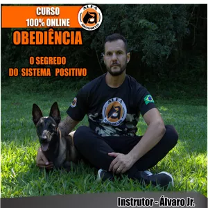 Curso Adestramento Obediência 