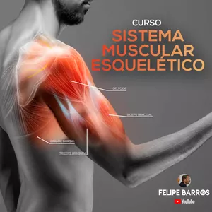 Imagem do curso Curso Sistema Muscular Esquelético