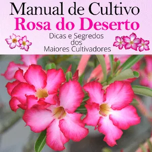 Imagem de capa para o Ebook Manual de Cultivo Rosa do Deserto