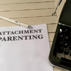 Imagen de portada para Curso online Curso Nivel I Apego y Sistemas Motivacionales Interpersonales (SMI) 