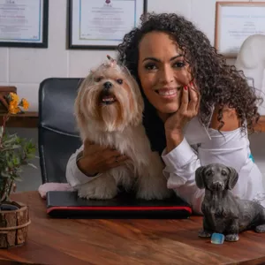 Imagem de capa para o Curso online Consulta Comportamental Canina