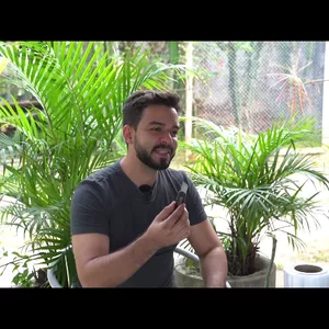 Imagem de O Segredo do enxerto da Rosa do Deserto criado por Tiago Ayub na hotmart