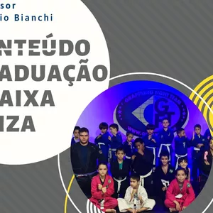 Imagem de capa para o Curso online CURSO CONTEÚDO EXAME DE FAIXA CINZA