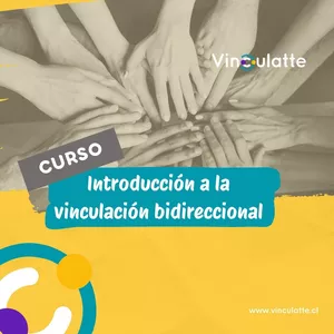 Imagen de portada para Curso online Introducción a la vinculación bidireccional