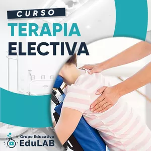 Imagen de portada para Curso online Curso en Terapia Electiva