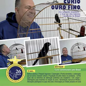 Imagem de capa para o Curso online Revista Pássaros 151 