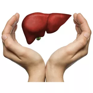 Imagem de capa para o Curso online LIMPEZA DE FÍGADO