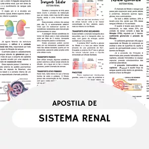Imagem de capa para o Curso online APOSTILA DE SISTEMA RENAL - RESUMOS MEDICINA