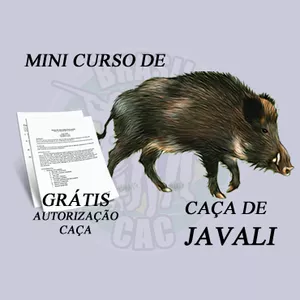 Imagem de capa para o Curso online Minicurso de manejo de javali + autorização + cadastro de propriedade rural
