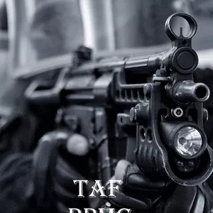 Imagem de capa para o Ebook TAF PPMG 2022