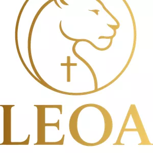 Imagem de capa para o Curso online Leoa Club