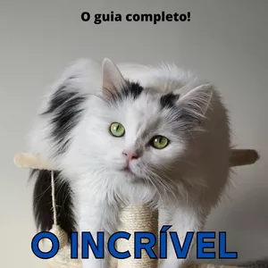 Imagem de capa para o Ebook O incrível mundo dos gatos