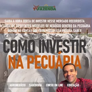 Imagem do curso COMO INVESTIR NA PECUÁRIA BOVINA | TVFAZENDA