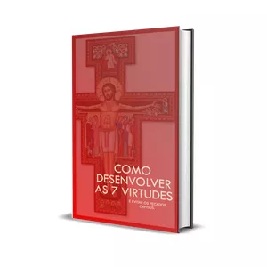 Imagem de capa para o Ebook Como desenvolver as 7 virtudes e evitar os pecados capitais.