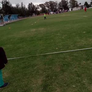 Imagen de portada para Curso online Cómo hacer un Macrociclo de Entrenamiento?