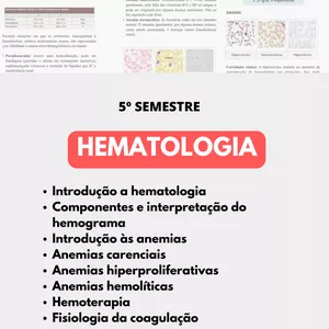 Imagem de capa para o Ebook APOSTILA DE HEMATOLOGIA