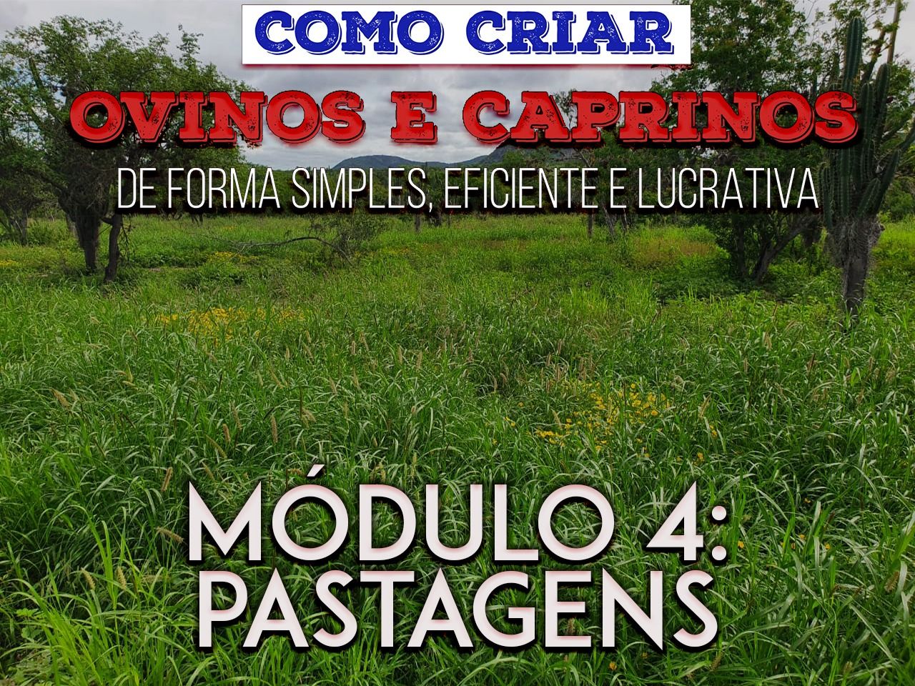 Curso - MANEJO DAS PASTAGENS PARA OVINOS E CAPRINOS por Estância Vale Encantado