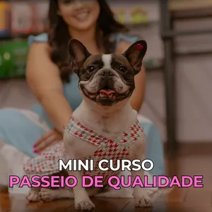 Imagem de capa para o Curso online Passeio de Qualidade